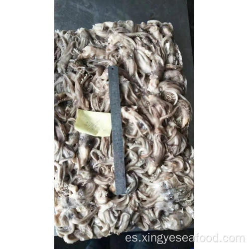 Tentáculo congelado Squid Illex Argentinus 40-60G